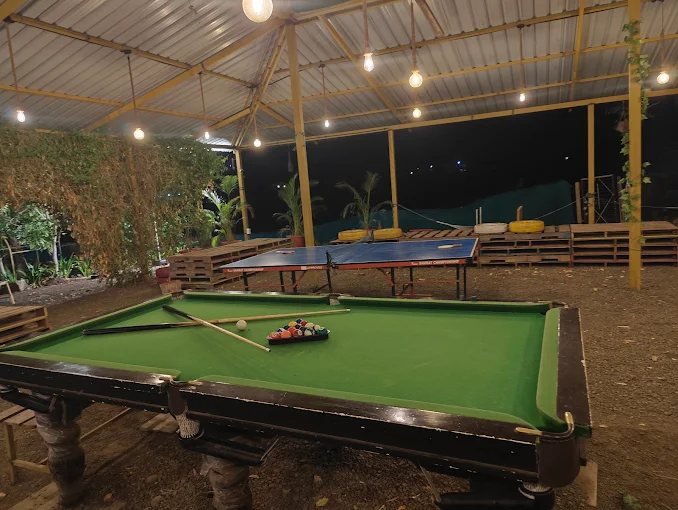 Kailash Farmhouse - 4 BHK — photo 4